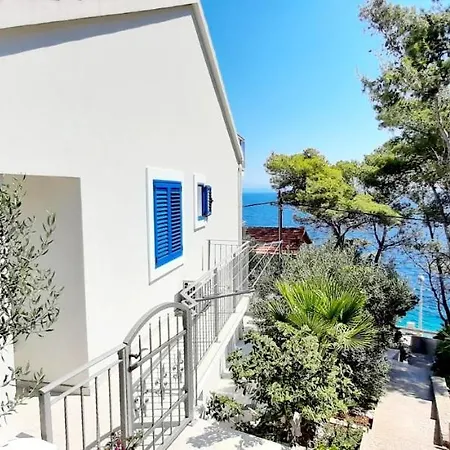 Summer House Bougainvillea By Dubrovnik Colors