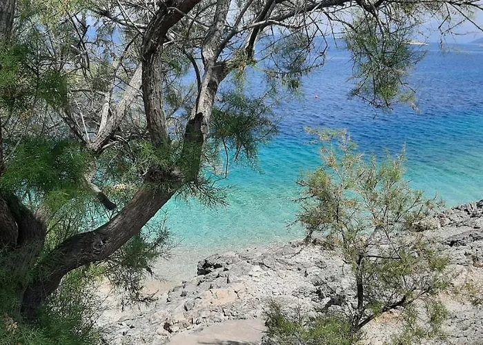 Summer House Bougainvillea By Dubrovnik Colors * Blato (Korcula)
