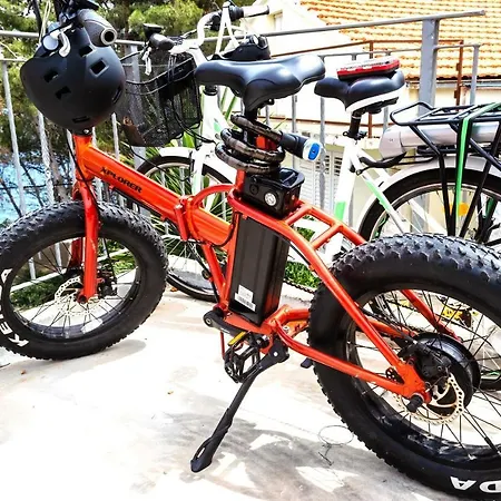 Summer House Bougainvillea By Dubrovnik Colors *