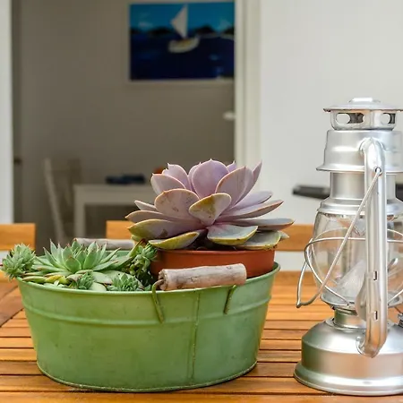 Summer House Bougainvillea By Dubrovnik Colors Apartment Blato (Korcula)