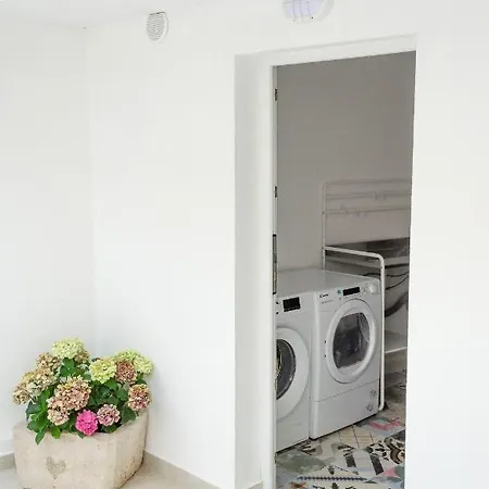 Summer House Bougainvillea By Dubrovnik Colors