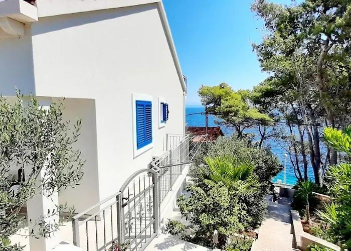 Summer House Bougainvillea By Dubrovnik Colors